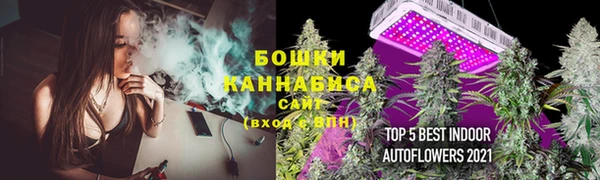тгк Майский